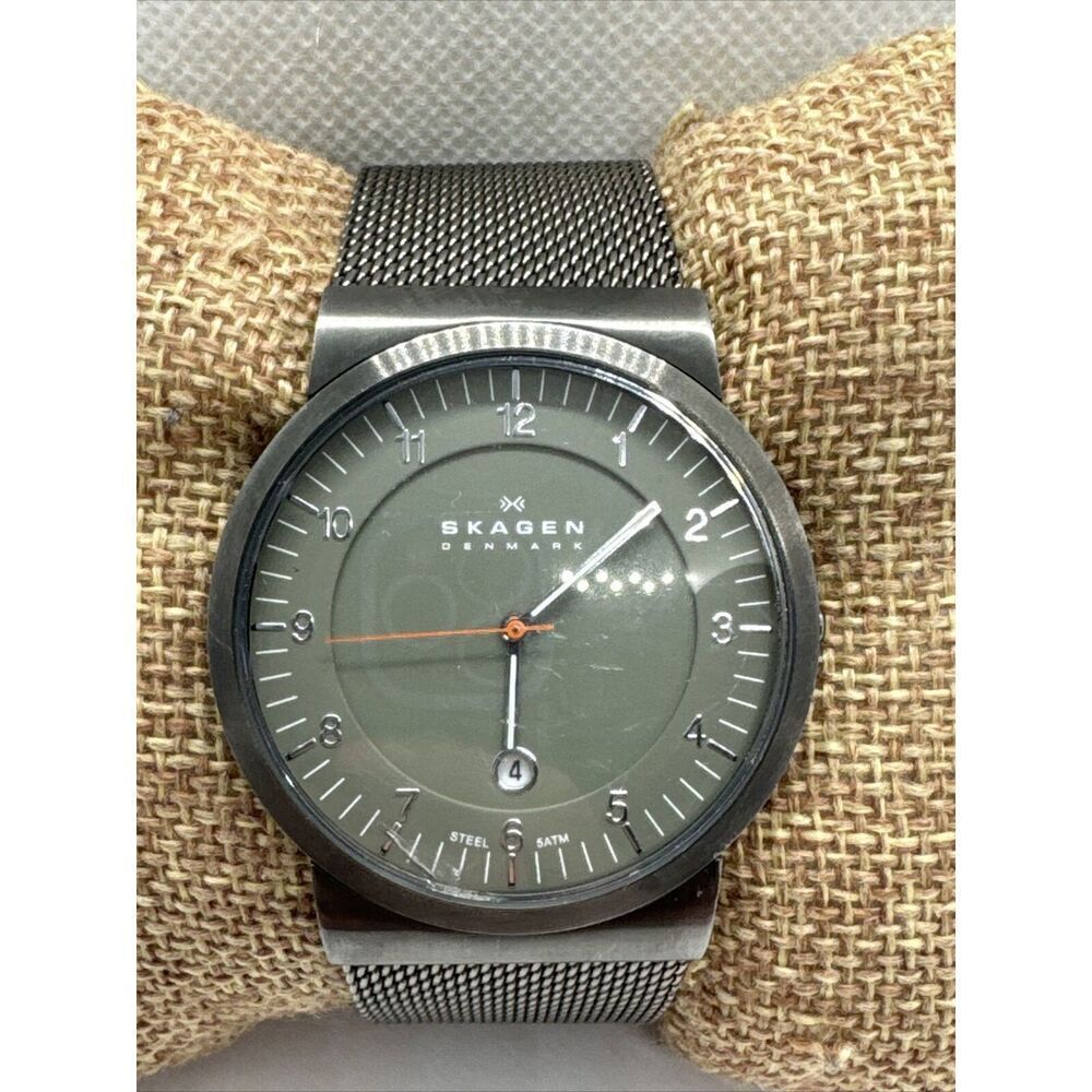 Skagen SKW6057 Men's Gray Stainless Steel Mesh Analog Dial Quartz Watch AEA165